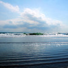 海