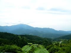 山