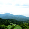 山