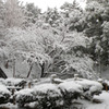 雪の日