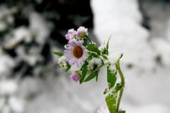 IMG_0255