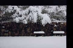 IMG_0246
