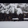 IMG_0246