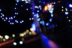 ＢＬＵＥ　ＬＥＤ