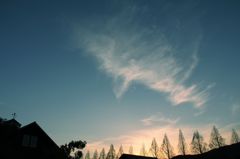 冬の空