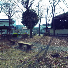 R0010316