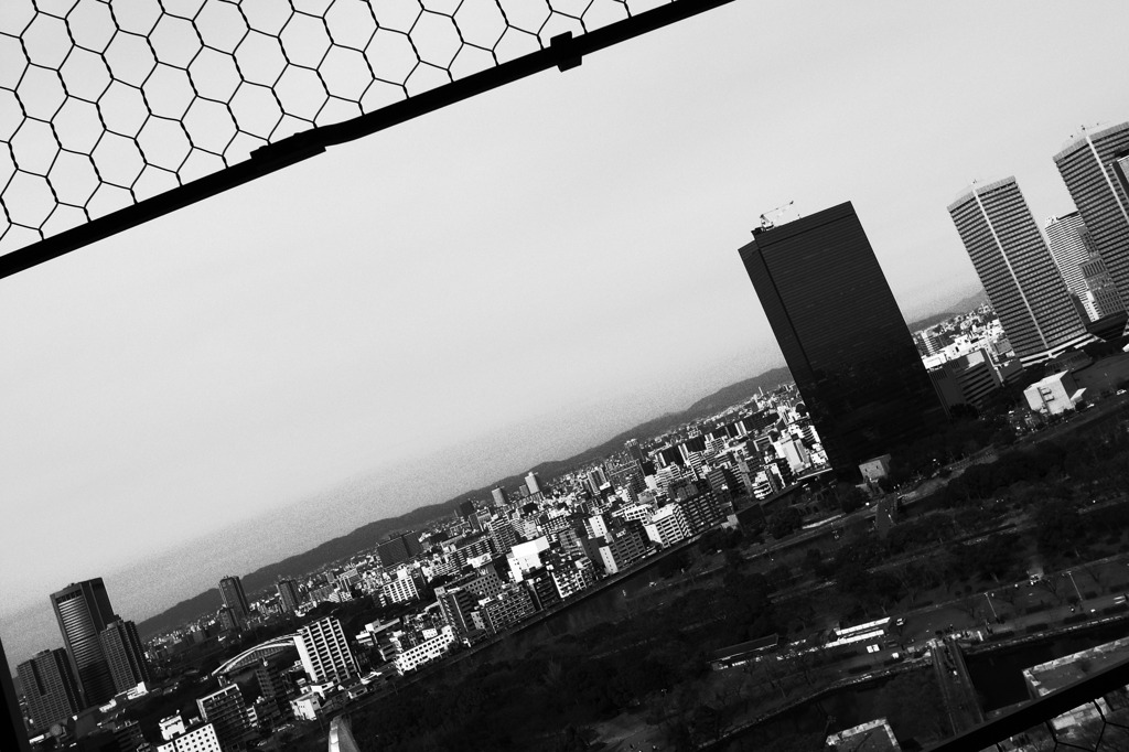 R0010631