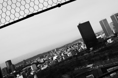 R0010631