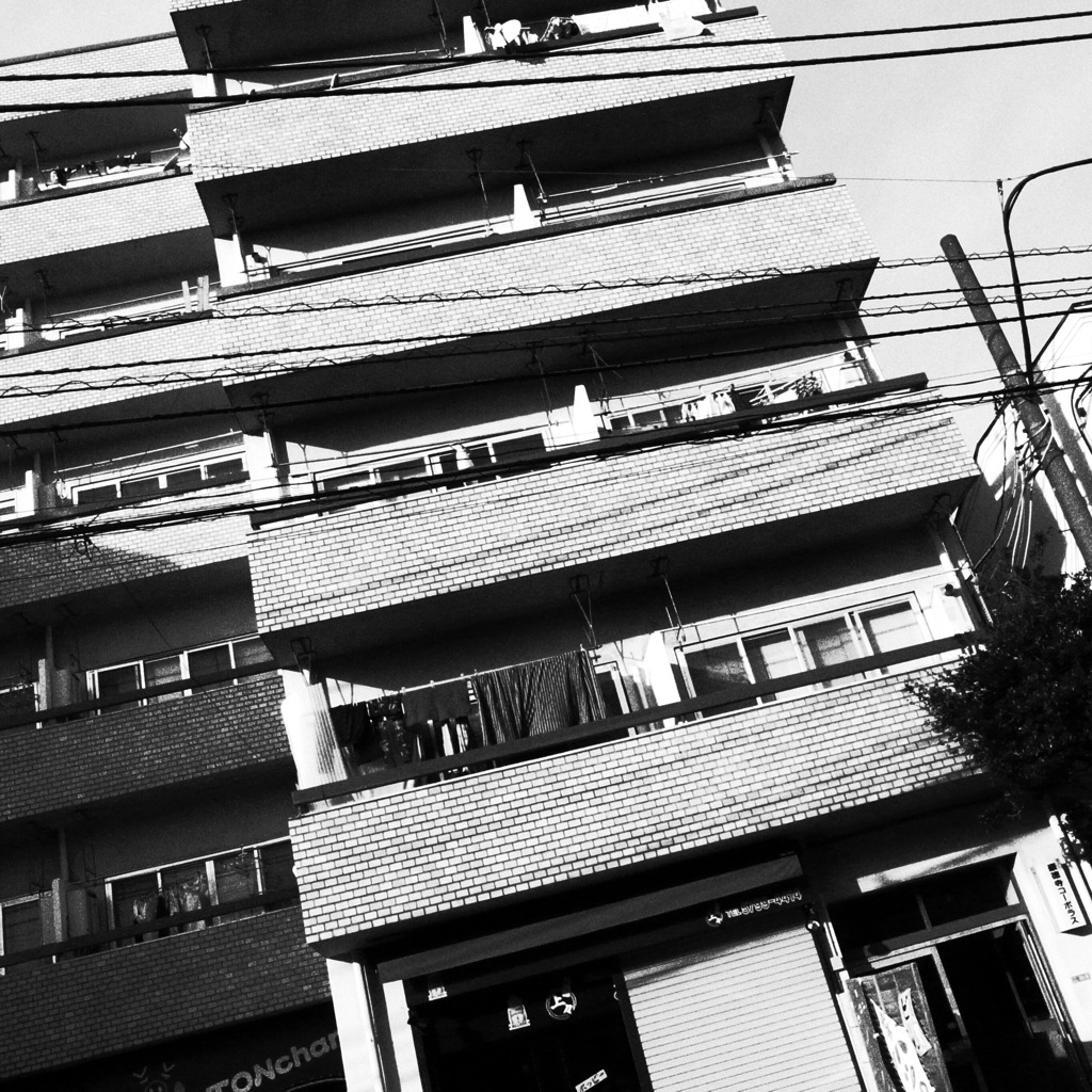 R0010243 by rfot （ID：964804） - 写真共有サイト:PHOTOHITO