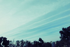 R0010649