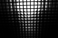R0010689