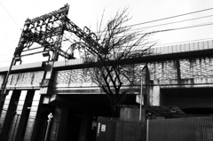 R0010238