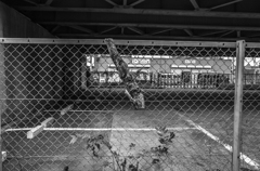 _R029701