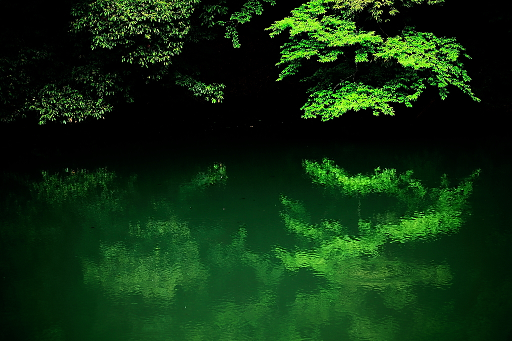 水の風景