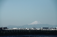 東京湾から臨む富士