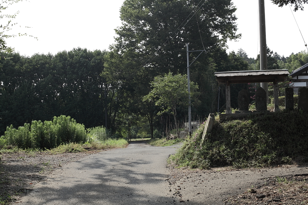 いつか来た道