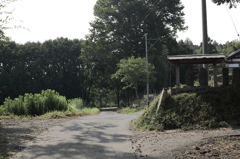 いつか来た道