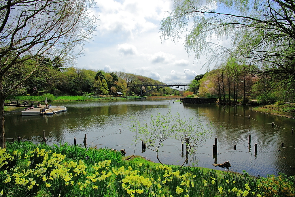 橋の見える風景