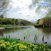 橋の見える風景