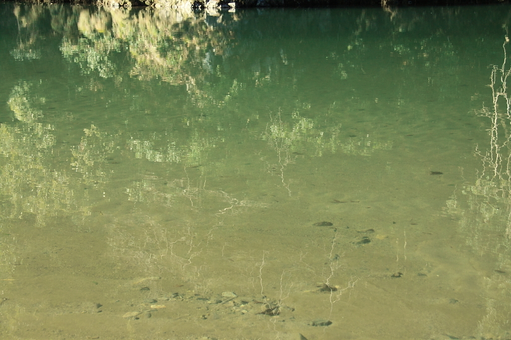 久慈川の水面