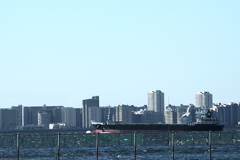 冬の東京湾