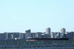 冬の東京湾