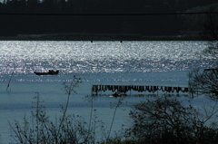 漁り（すなどり）