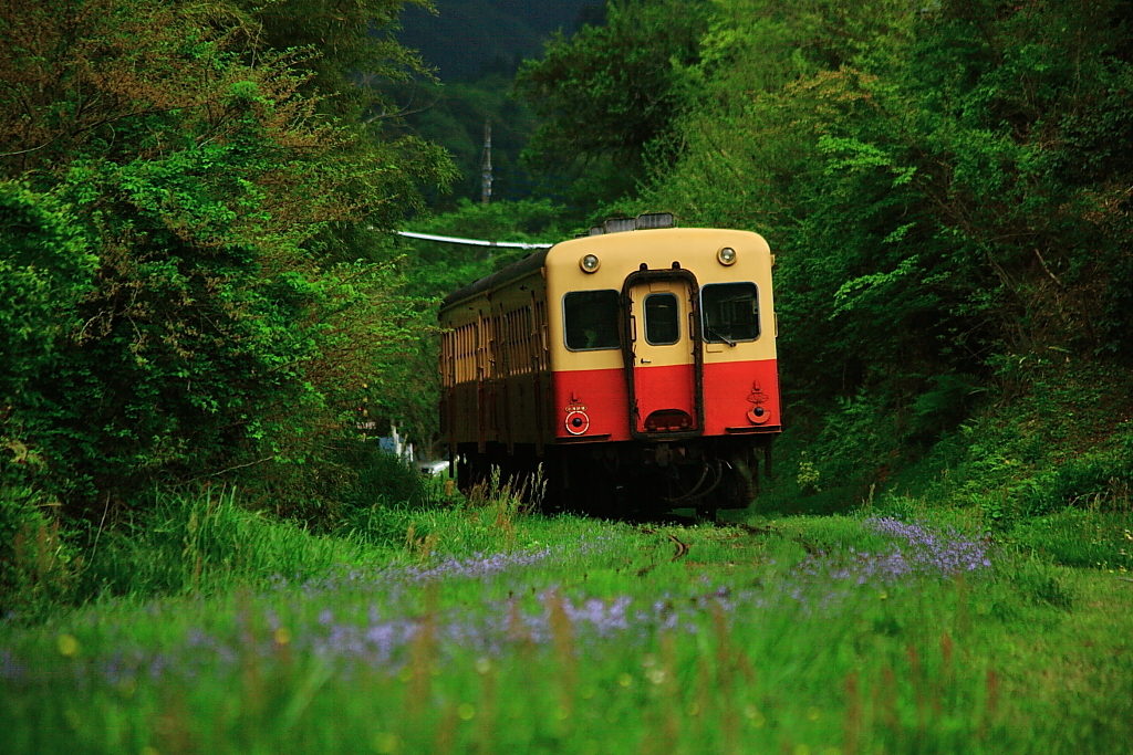 ローカル電車