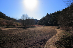 春の田