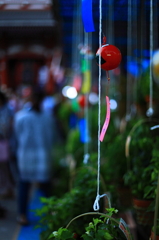 浅草寺　ほおずき市