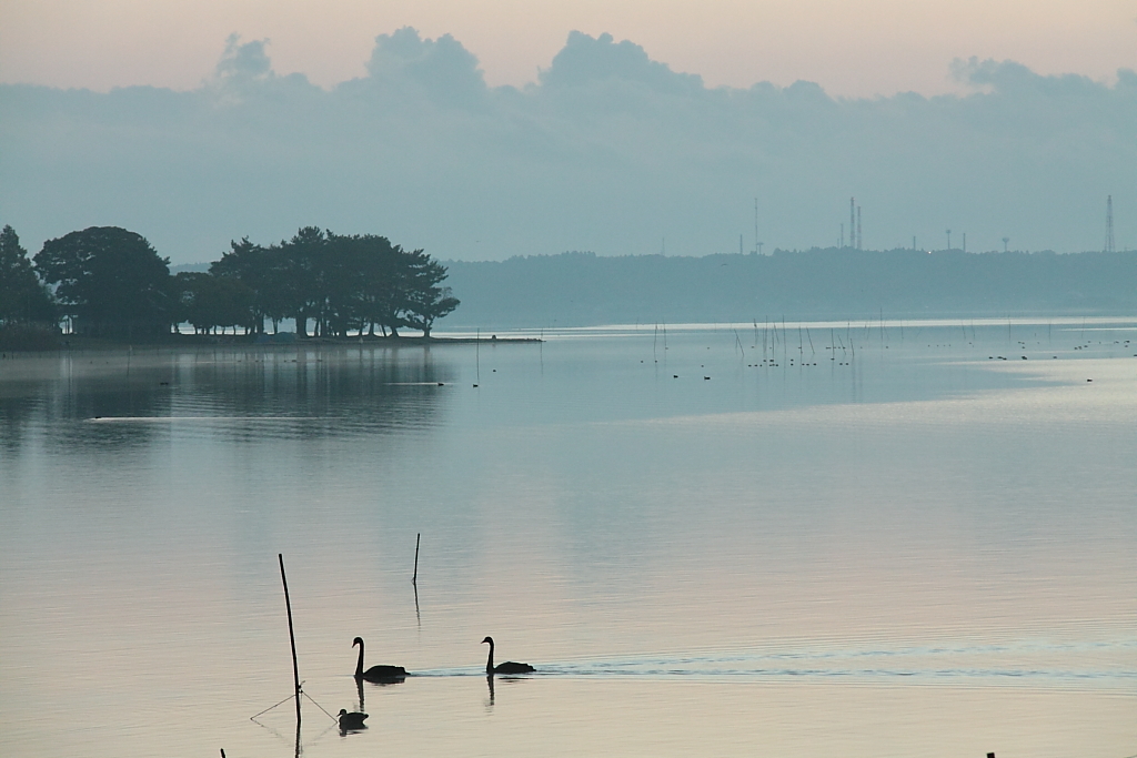 冬の涸沼