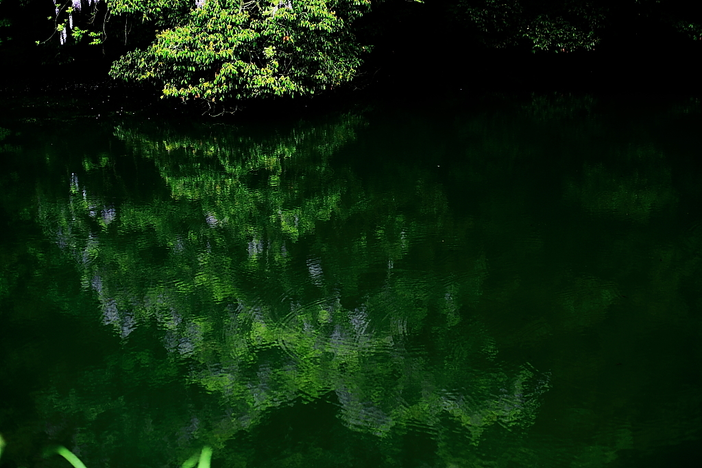 水の風景