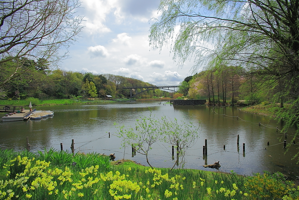 橋の見える風景