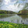 橋の見える風景