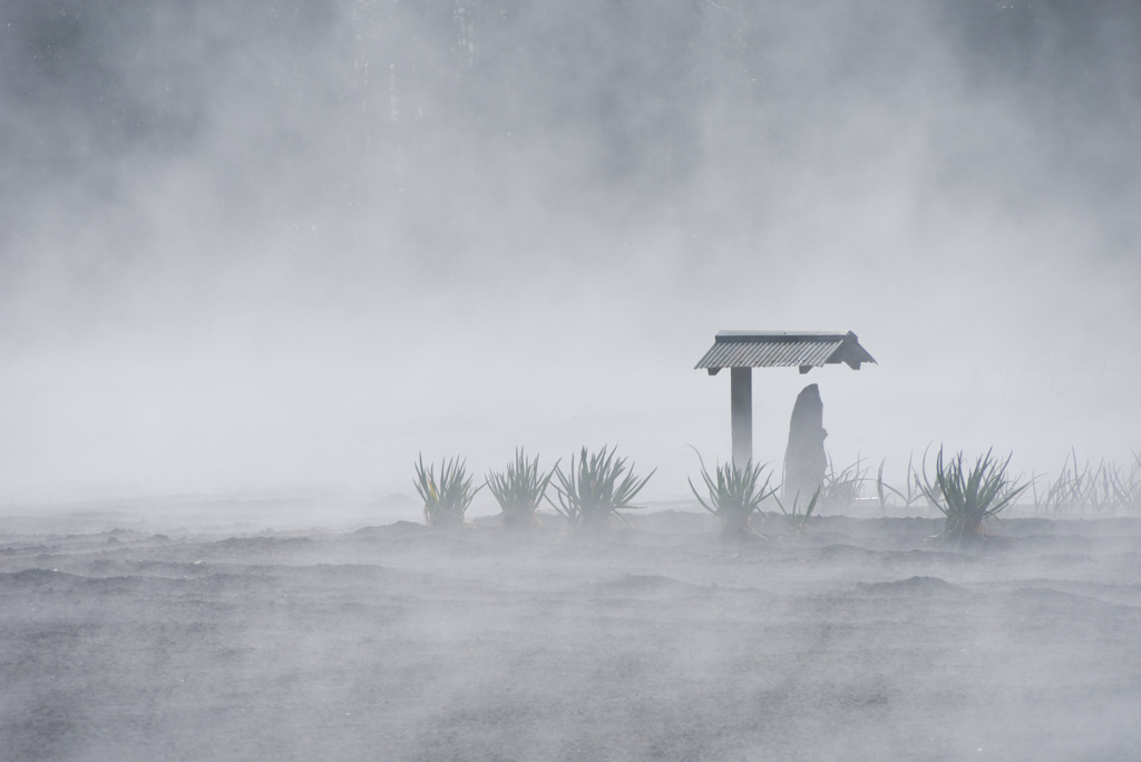 湯気