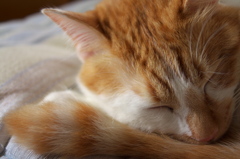 眠り