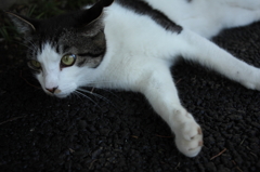 リラックス