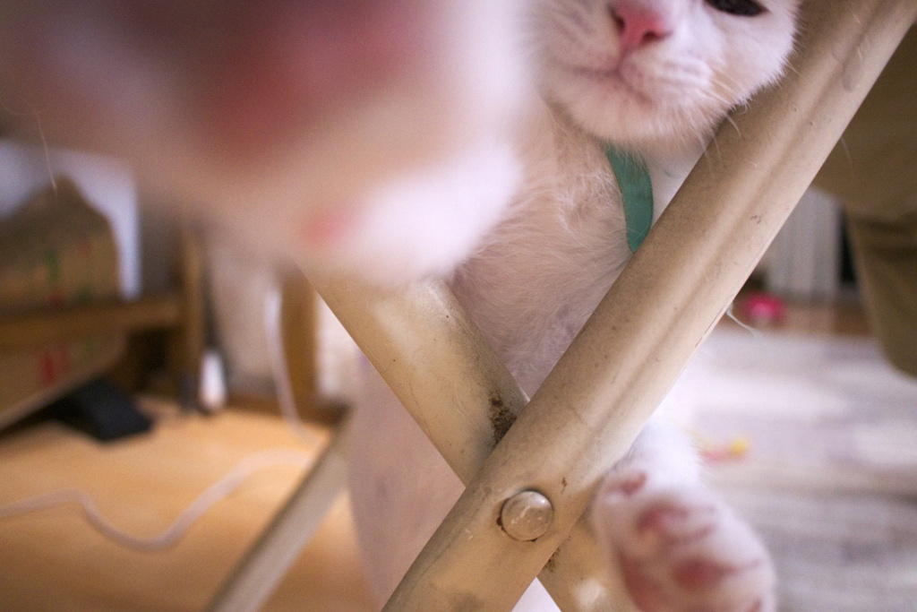 パンチ