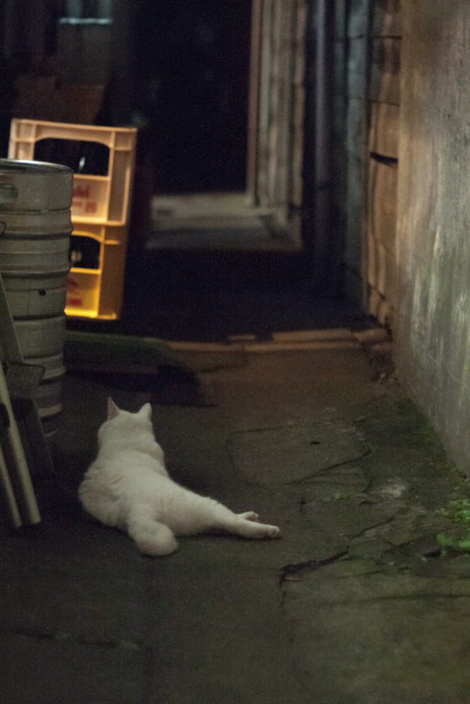 路地裏