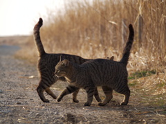 すれ違い