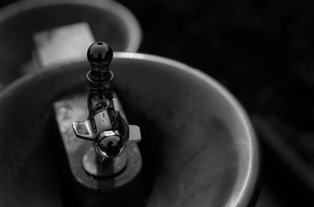 水のみ場