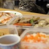 我慢　その２