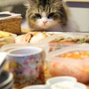 我慢　その１