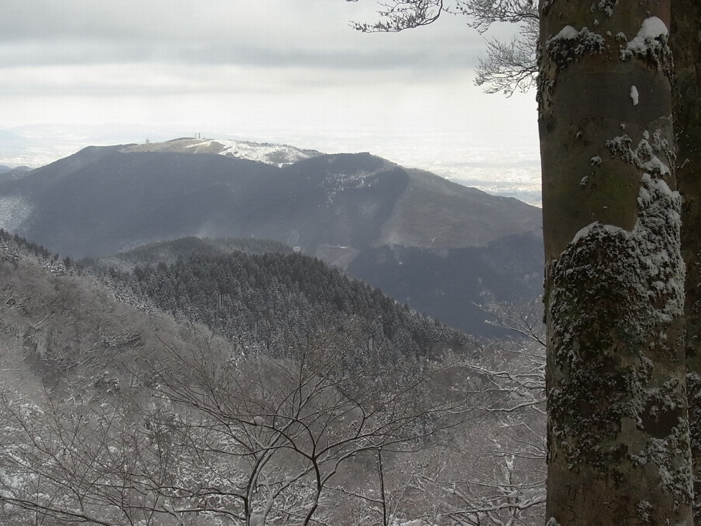 葛城山を望む