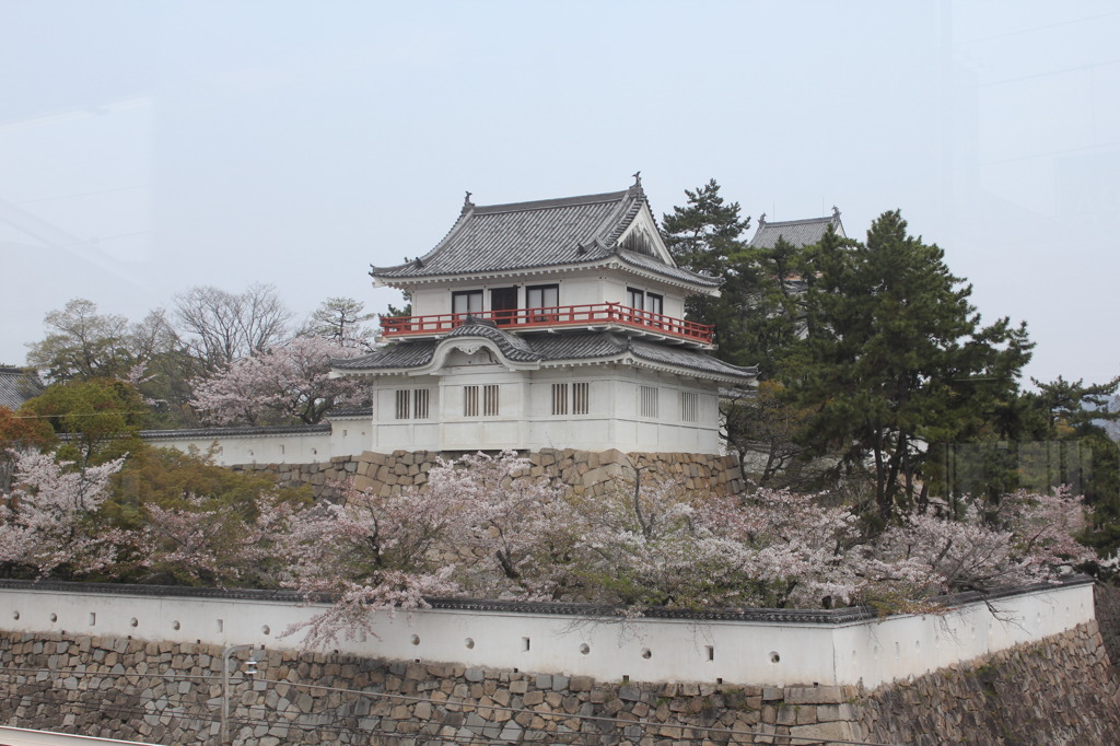 城と桜