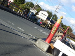 IMGP8082