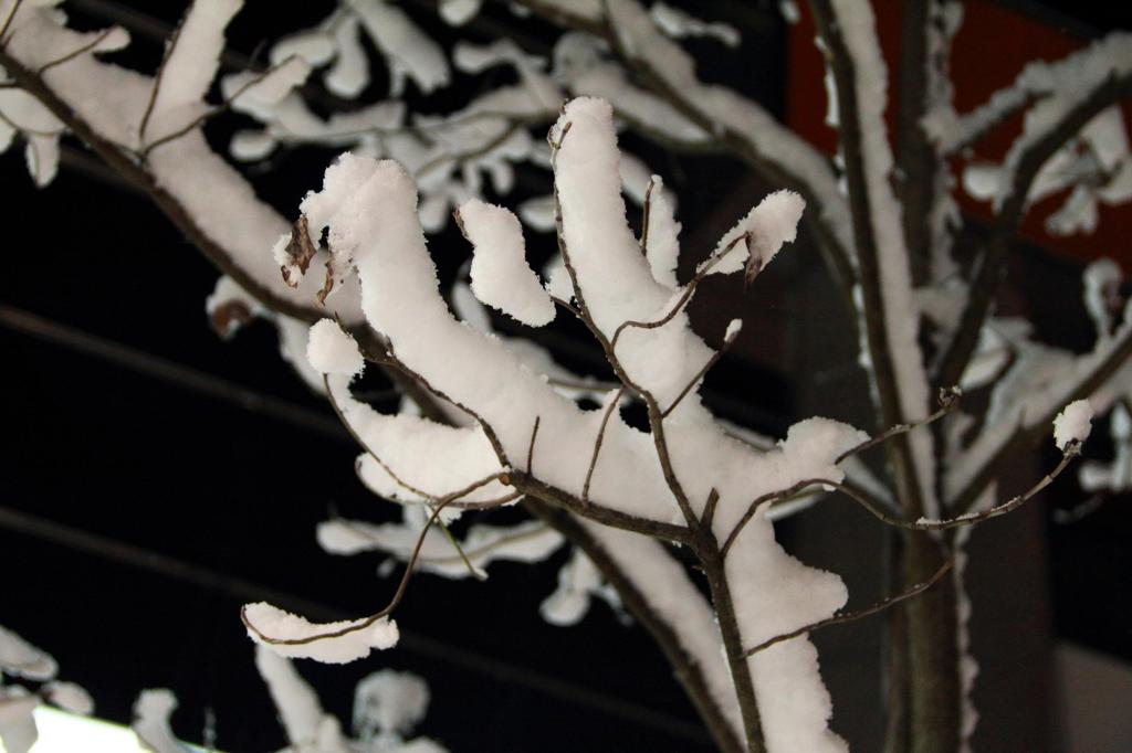 被災地の雪