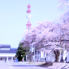 満開