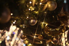 クリスマスアーチ