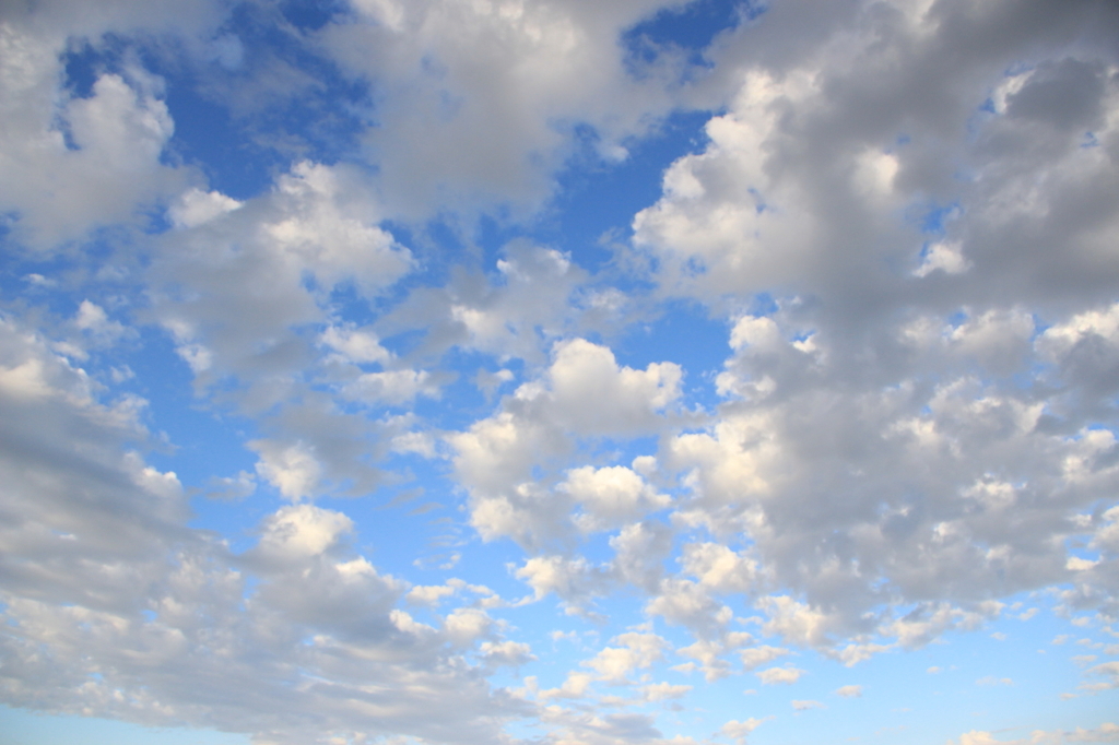 秋空？